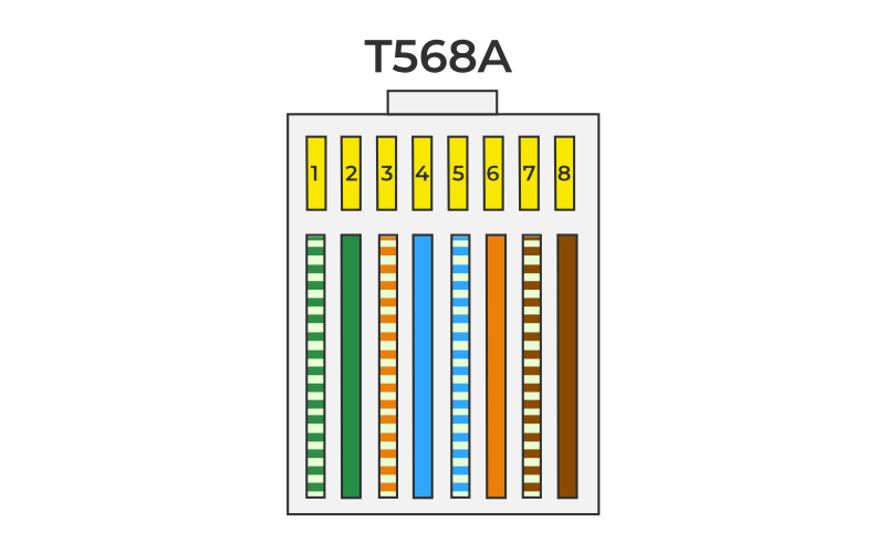 T568A