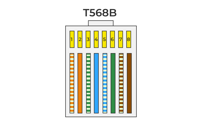 T568B